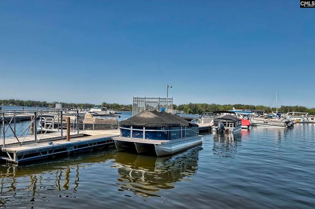 358 Chapin Place Way, Chapin, SC 29036