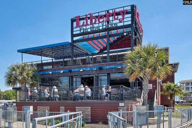 358 Chapin Place Way, Chapin, SC 29036