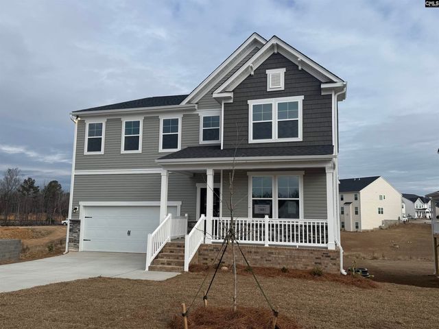 358 Chapin Place Way, Chapin, SC 29036