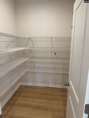 358 Chapin Place Way, Chapin, SC 29036