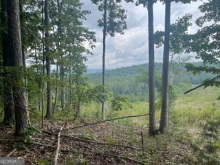 0 White Oak Road (LOT 2), Summerville, GA 30747