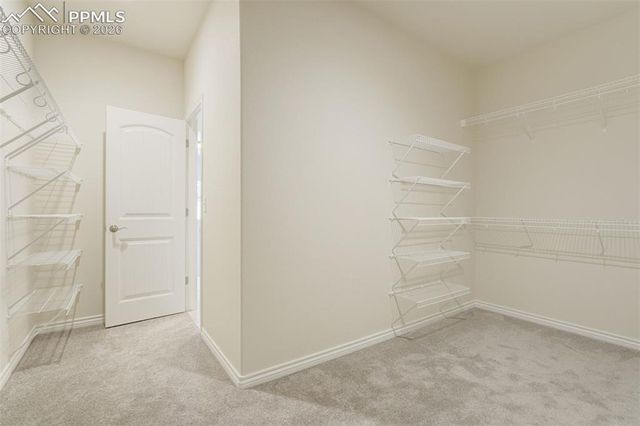 11183 Faint Wind Drive, Colorado Springs, CO 80908
