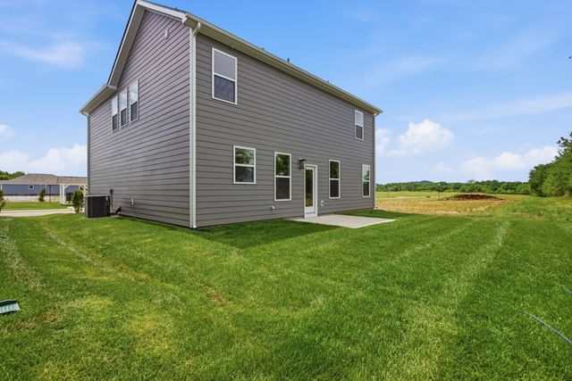 336 Black Bear Drive, Mount Pleasant, TN 38474