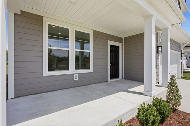 336 Black Bear Drive, Mount Pleasant, TN 38474