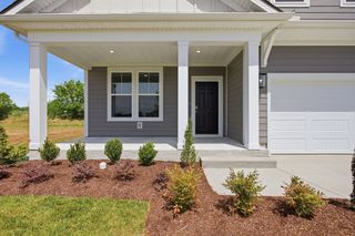 336 Black Bear Drive, Mount Pleasant, TN 38474