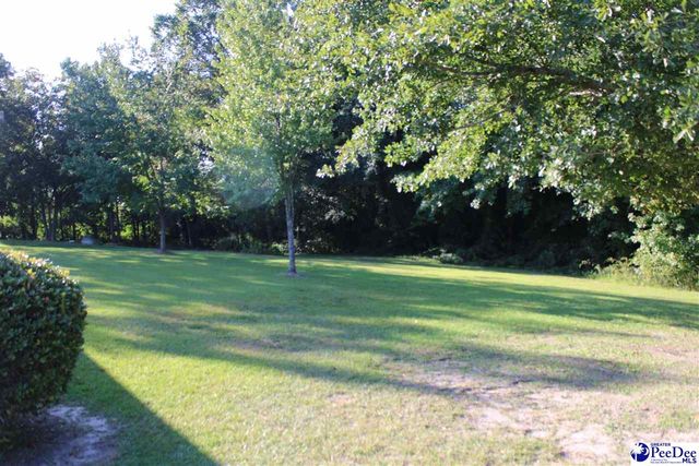 2470 Pittman Ln, Dillon, SC 29536