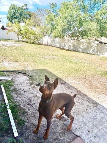 522 WYNNWOOD DRIVE, Brandon, FL 33511