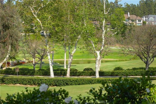 10 Rue Grand Ducal, Newport Beach, CA 92660