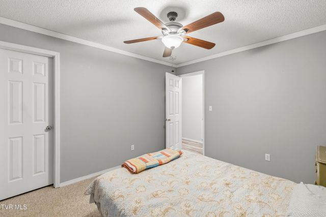 144 Kelsey Peterson Road, Jonesborough, TN 37659