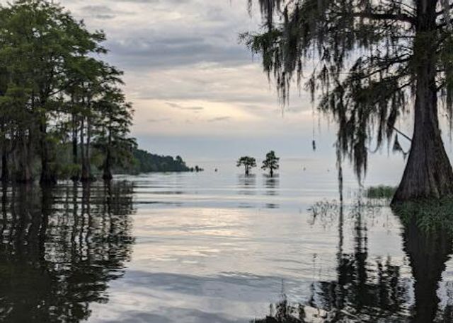 451 Kelton Road, Saint Stephen, SC 29479