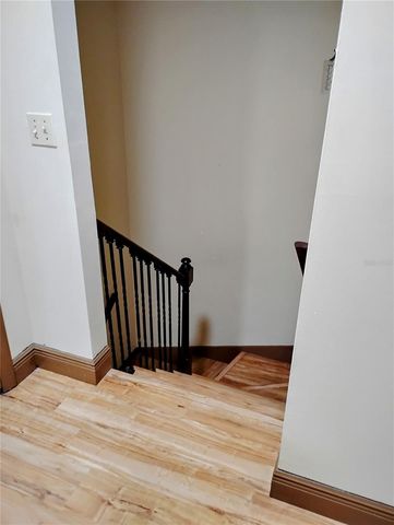 11721 RAINTREE DRIVE, Tampa, FL 33617