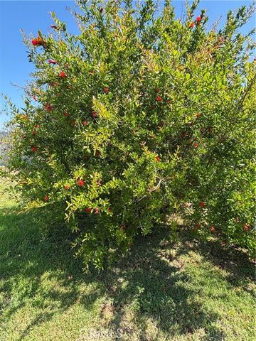 1500 Walton Street, Oceanside, CA 92058