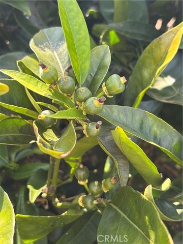 1500 Walton Street, Oceanside, CA 92058