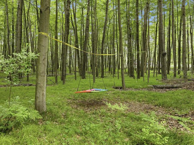 8128 Highland Trail, Canadian Lakes, MI 49346