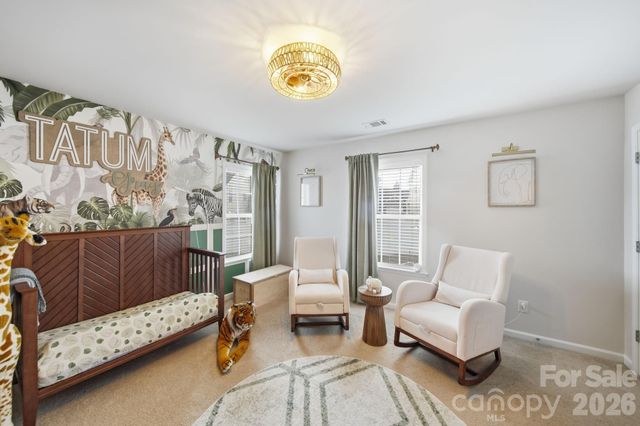 10906 Trout Creek Place, Davidson, NC 28036