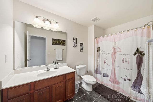 10906 Trout Creek Place, Davidson, NC 28036