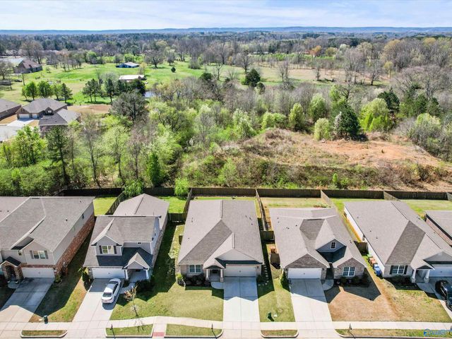 626 Magnolia Place Lane, Hartselle, AL 35640
