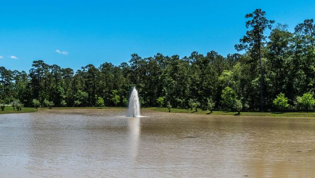 5021 David Pines Court, Spring, TX 77386