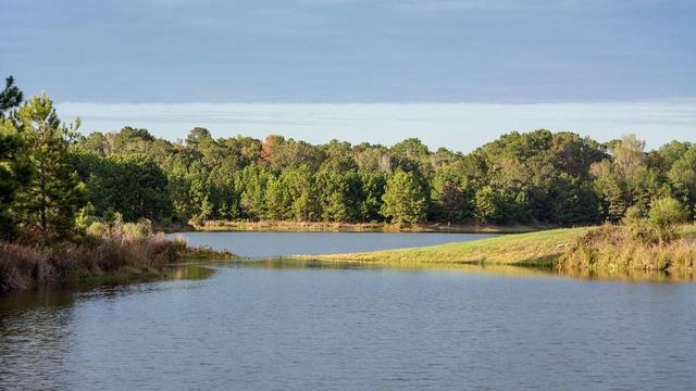 5021 David Pines Court, Spring, TX 77386