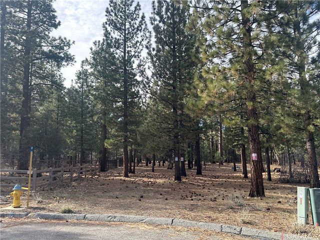 1801 Shady, Big Bear City, CA 92314