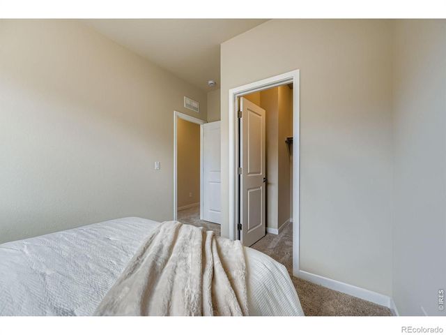 2805 Bear Springs Circle, Longmont, CO 80503