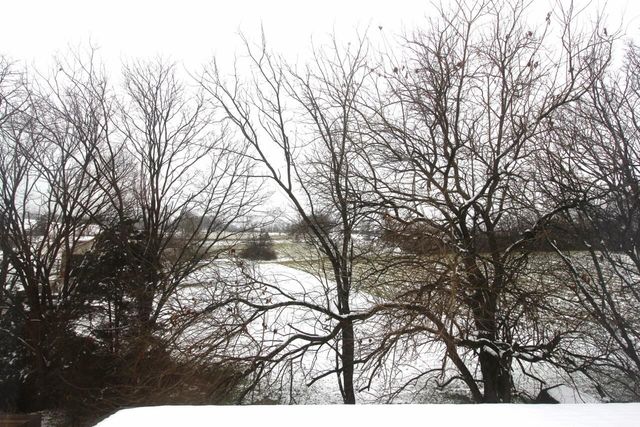 128 Thomas Lane, Georgetown, KY 40324