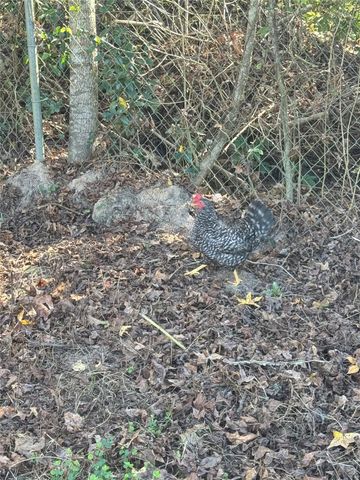 211 Johnson Street, Ames, TX 77575