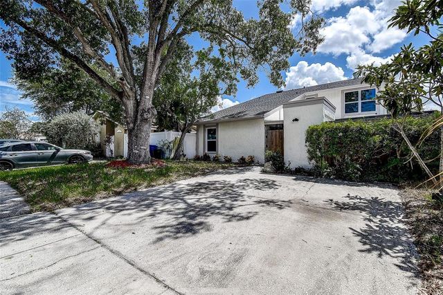 10303 PENNYTREE PLACE, Tampa, FL 33624
