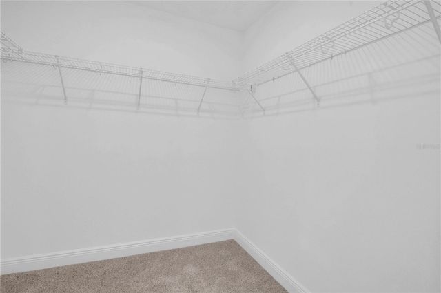 7767 TRAPANI LOOP, Clermont, FL 34714