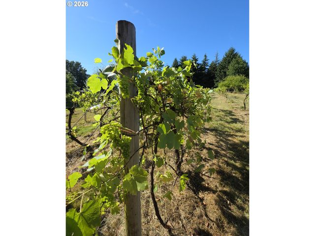 18702 Ne 85TH Ave, Battle Ground, WA 98604