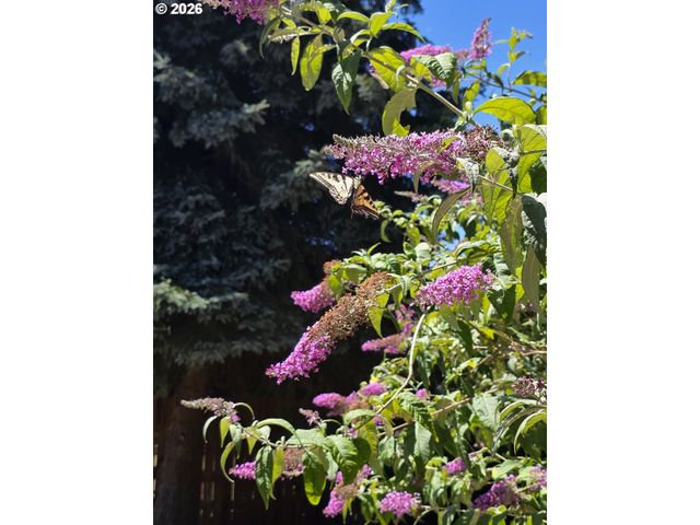 18702 Ne 85TH Ave, Battle Ground, WA 98604