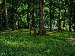 2297 Turkey Ridge Lane, Piney Flats, TN 37686