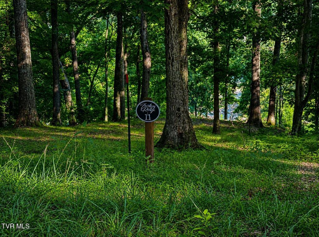 2297 Turkey Ridge Lane, Piney Flats, TN 37686