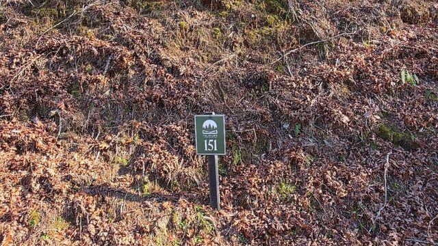 151 Rhondas Way, Ellijay, GA 30540