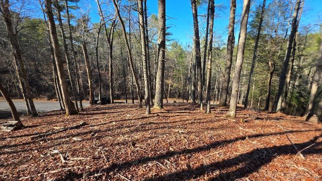 151 Rhondas Way, Ellijay, GA 30540