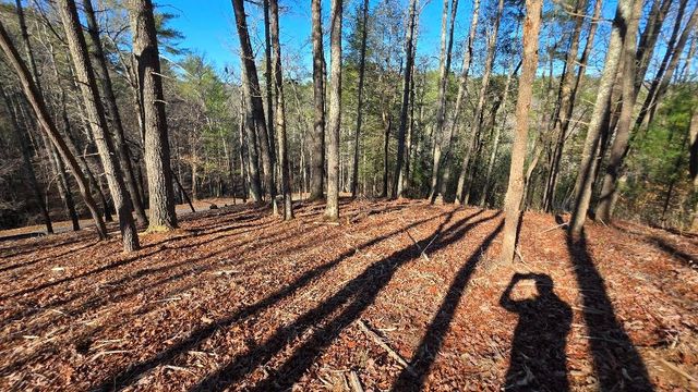 151 Rhondas Way, Ellijay, GA 30540