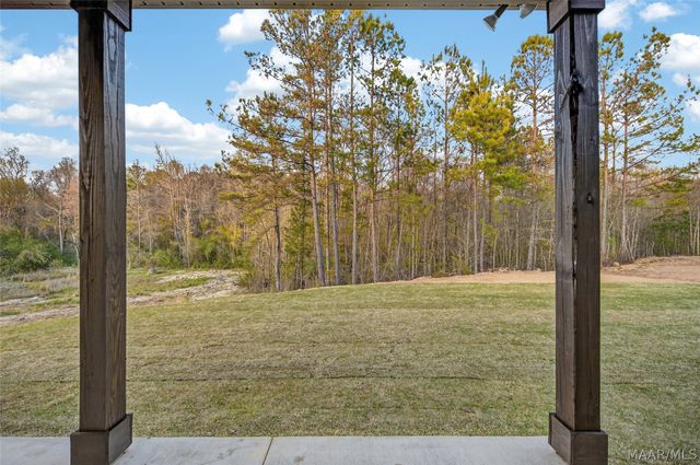 210 Madix Drive, Eclectic, AL 36024