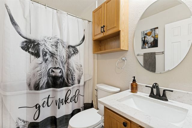 11528 Cactus Springs Drive, Fort Worth, TX 76244