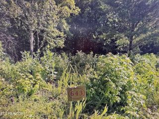 204 Majestic View Drive, Rockwood, TN 37854