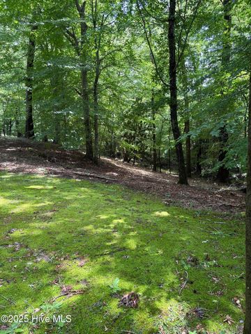 108 Gambit Court, Washington, NC 27889