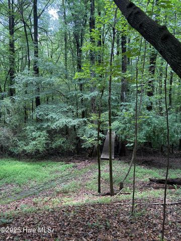 108 Gambit Court, Washington, NC 27889