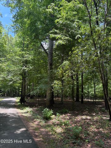 108 Gambit Court, Washington, NC 27889