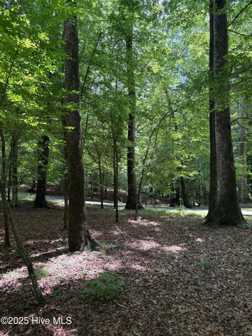 108 Gambit Court, Washington, NC 27889