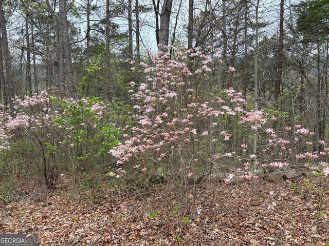 2246 Neal Gap Road, Summerville, GA 30747