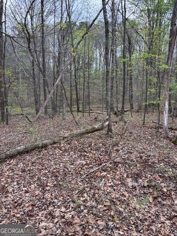 2246 Neal Gap Road, Summerville, GA 30747