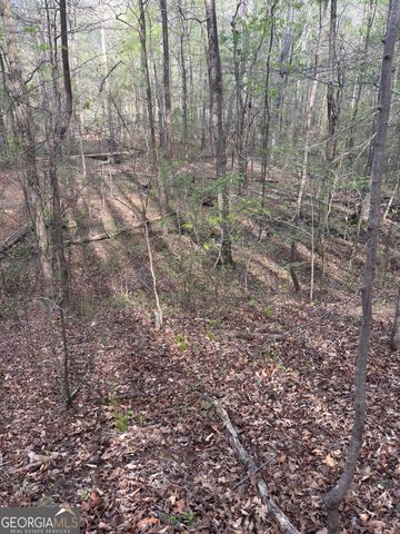 2246 Neal Gap Road, Summerville, GA 30747