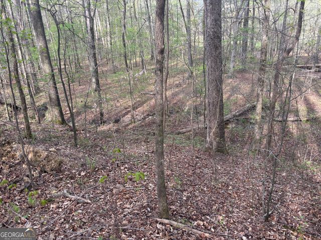 2246 Neal Gap Road, Summerville, GA 30747