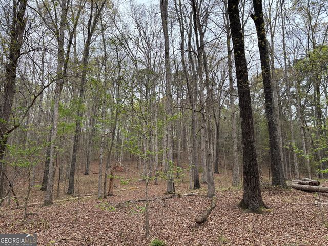 2246 Neal Gap Road, Summerville, GA 30747