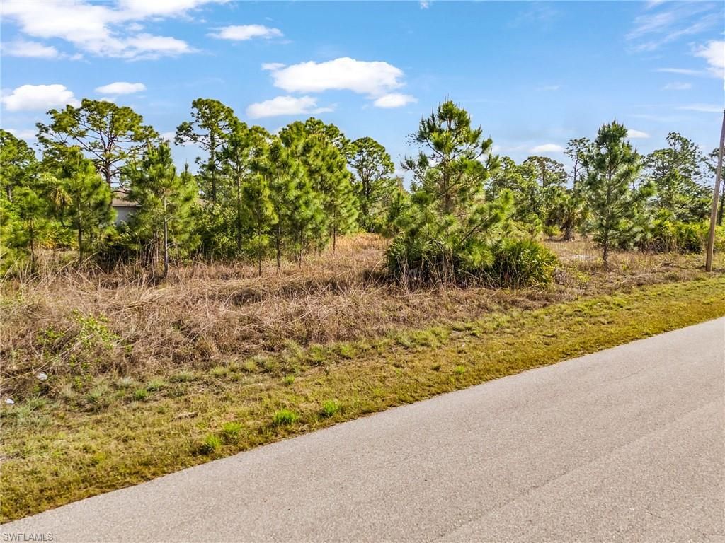 1113 Darling ST E, LEHIGH ACRES, FL 33974 — photo 4
