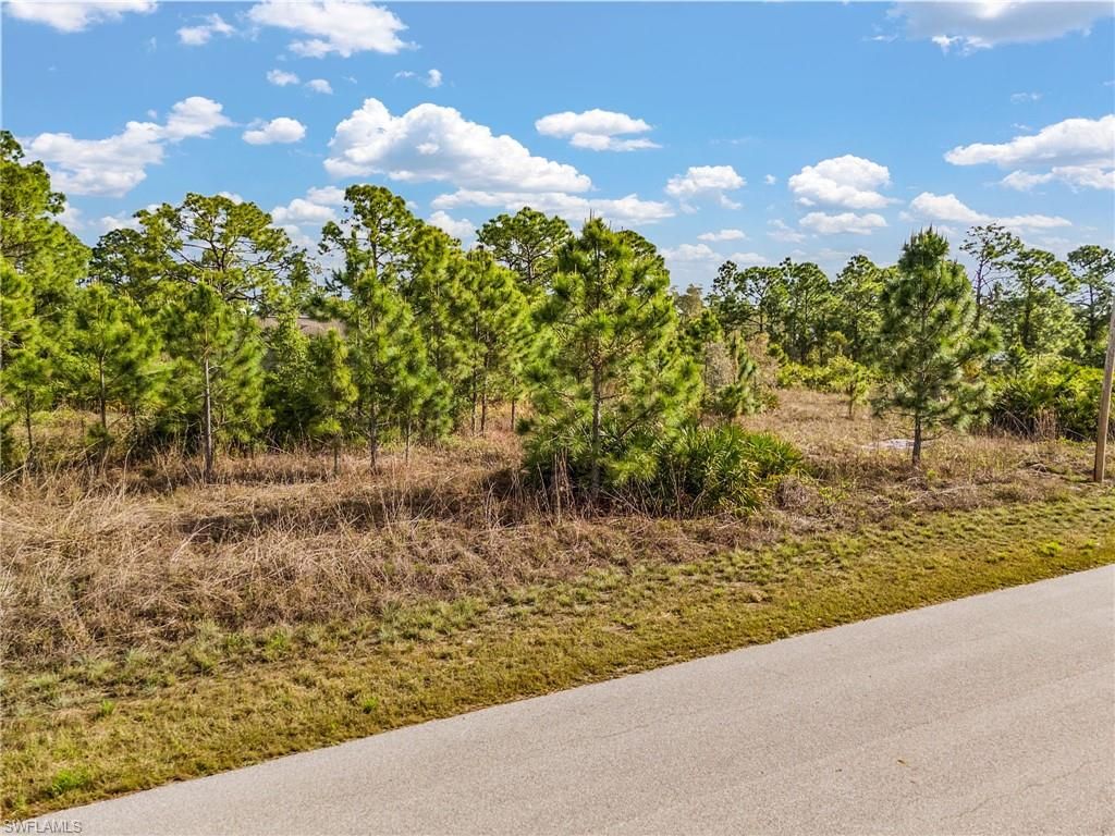 1113 Darling ST E, LEHIGH ACRES, FL 33974 — photo 5